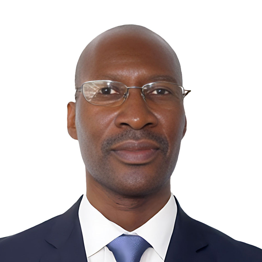 Dr Kingstone Mutsonziwa visual